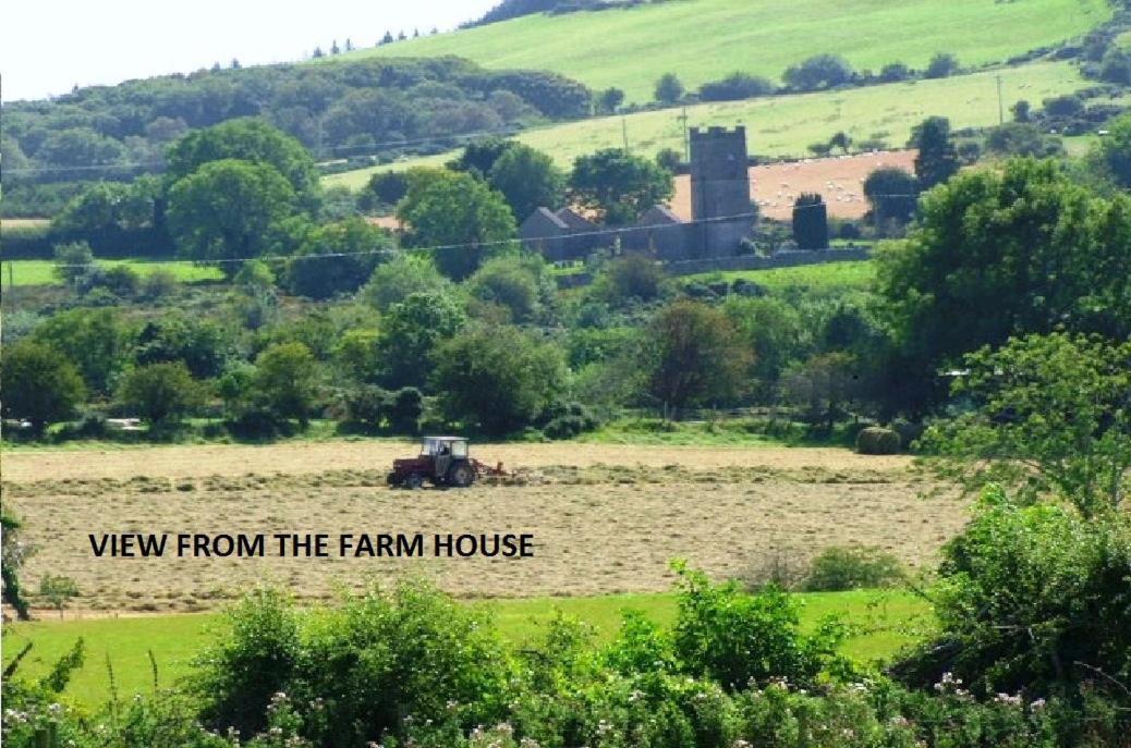 וויקלו Wonderful Setting Farmhouse Apartment מראה חיצוני תמונה