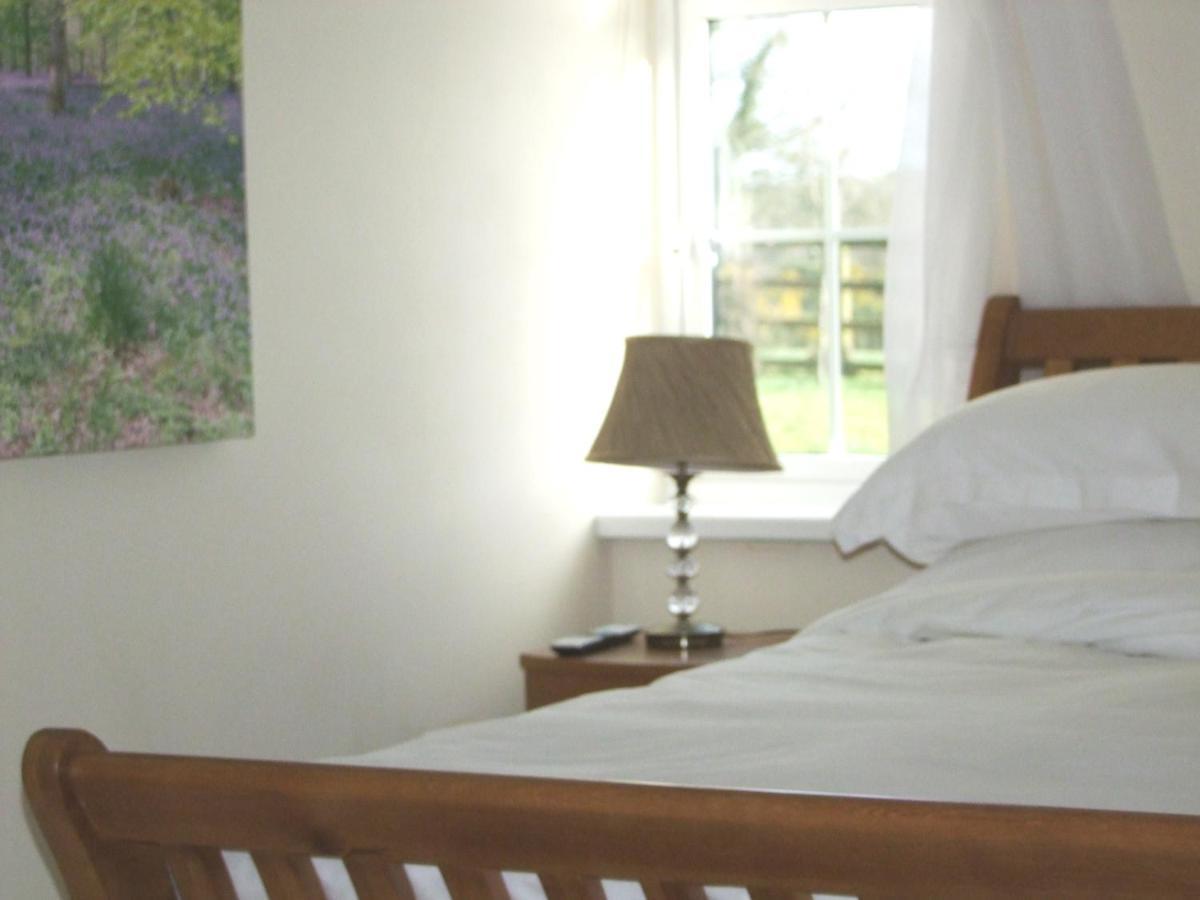 וויקלו Wonderful Setting Farmhouse Apartment מראה חיצוני תמונה